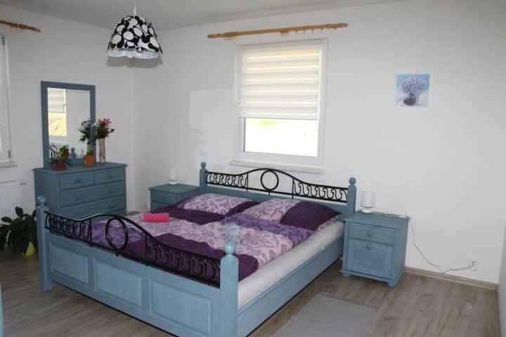 Sumava U Janiny Apartment Strazov